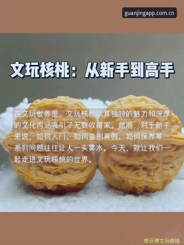 冠竞体育竞猜APP 冠竞体育平台2025新版深度评测:从新手到高手,一份真实的体验报告