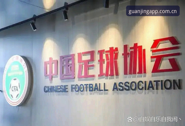 足协第三批禁足名单深度解析：17人终身禁赛背后的中国足球生态危机